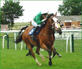 ABRAWINNING3E25th2005