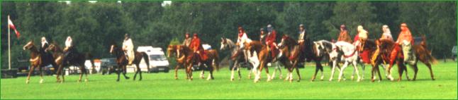 longpolo