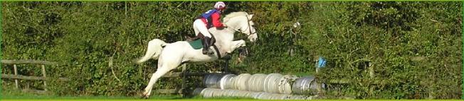 P1010029